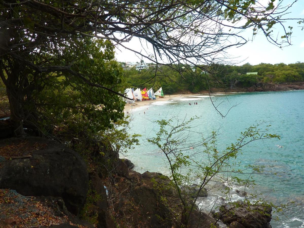 Cottage La Pointe Marine Deshaies Exterior foto